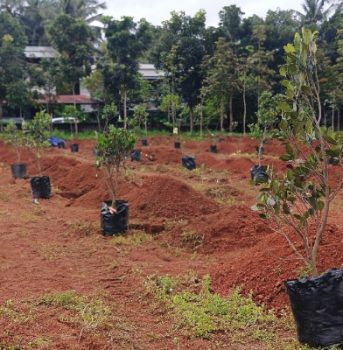 Instagram Post – 1